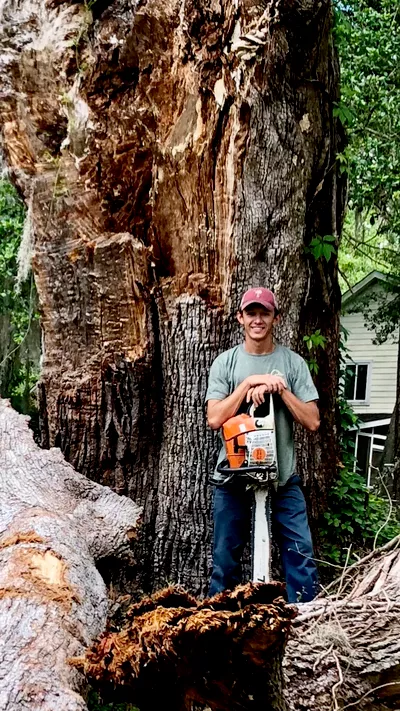 Anytime Tree Services