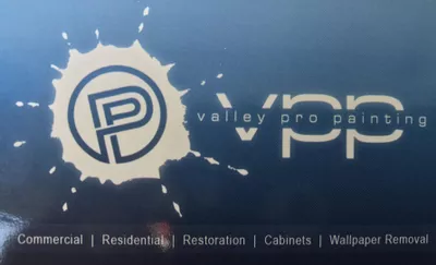 Valley Pro Painting
