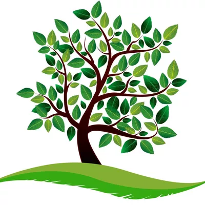 Go Green Tree & Stump Removal