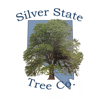 Silver State Tree Company