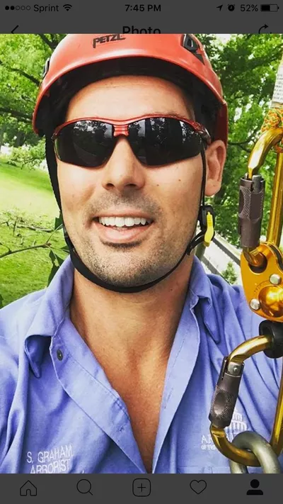 Independent tree care