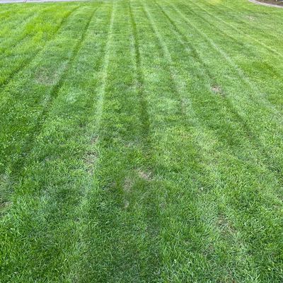 Professional Gs Landscaping
