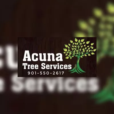 A-T-S. Tree Trimming & Removal