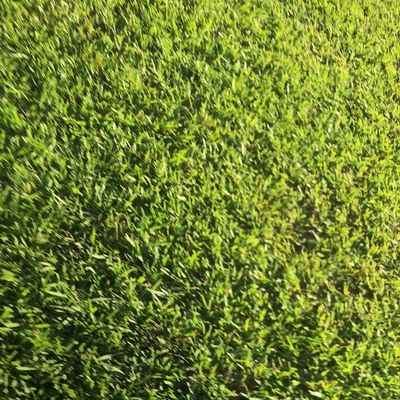 Lakeside lawncare