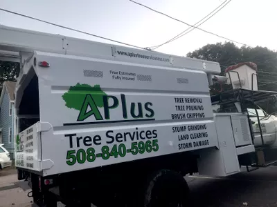 AplusTreeServices