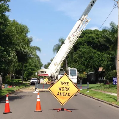 Ergonomic Tree Care