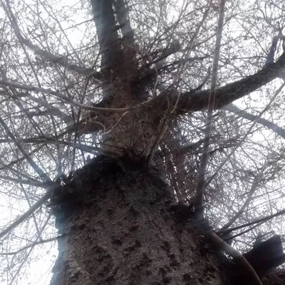 Superior Outdoor Maintenance