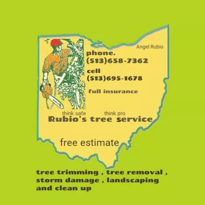 Rubio's tree service