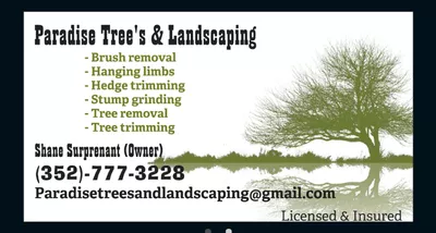Paradise Trees & Landscaping