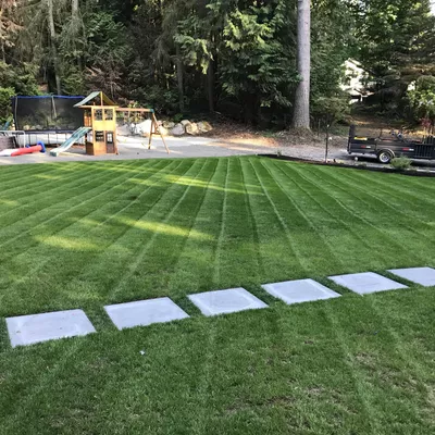 Aguayo Professional Gardener