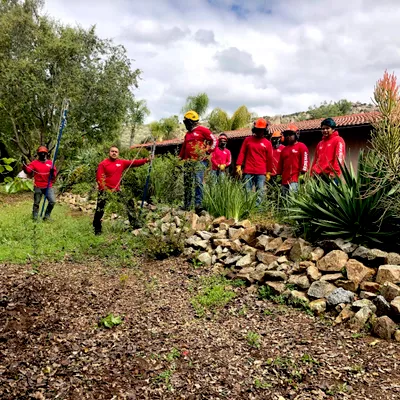 Vista Del Rey Tree Service
