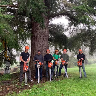 Snohomish Tree Company
