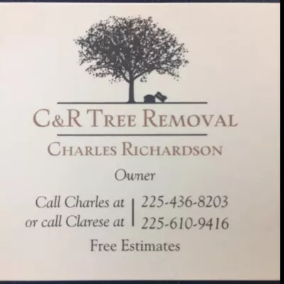 CR Tree Removal