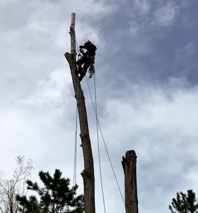 Front Range Forestry Services, LLC