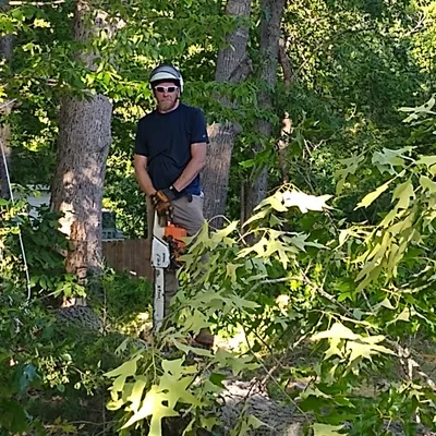 Neighbors Tree Care LLC