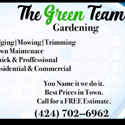 The greenteam 310