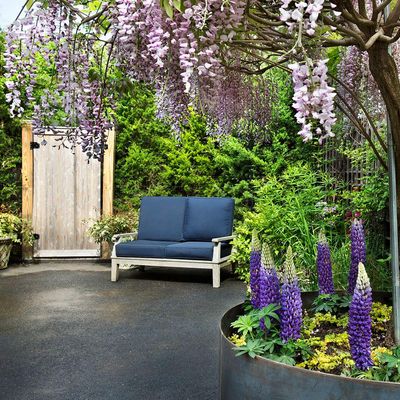 Hamptons Silverleaf Design & Landscapes