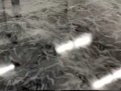 Custom paint & floor epoxy