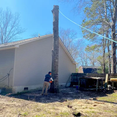 Jose's Tree Service LLC