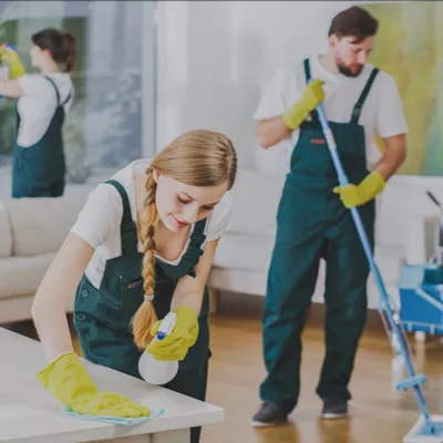 Ogdenrainguttercleaning