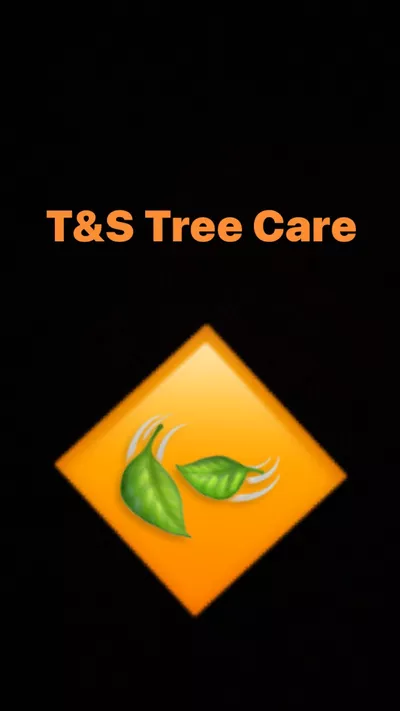 T&S TREE CARE