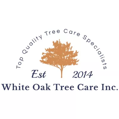 White Oak Tree Care