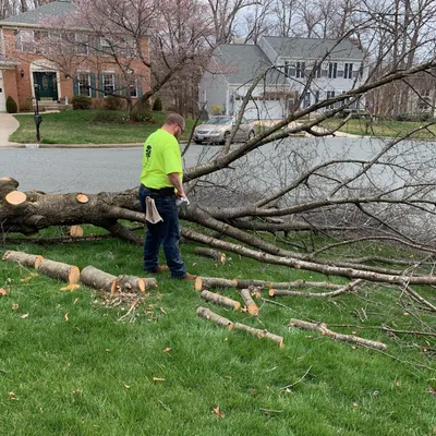 A&J Tree&Landscaping Service