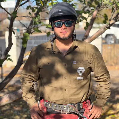 Gems Tree Services