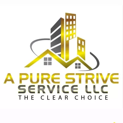 A PURE STRIVE SERVICE LLC