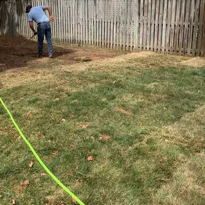 Cortes landscaping
