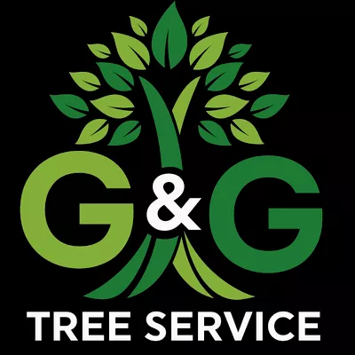 G & G tree service