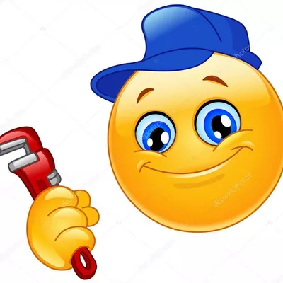 The Drain Cleaner