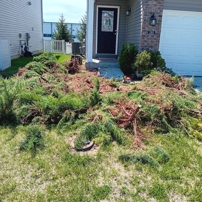 B&G Lawn Care