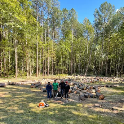 Arita’s tree Service LLC