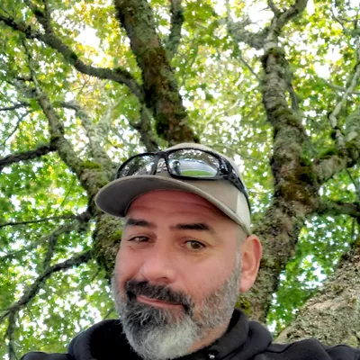 South Puget Sound Arborist Professionals