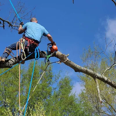 Blue Oak Home Improvements