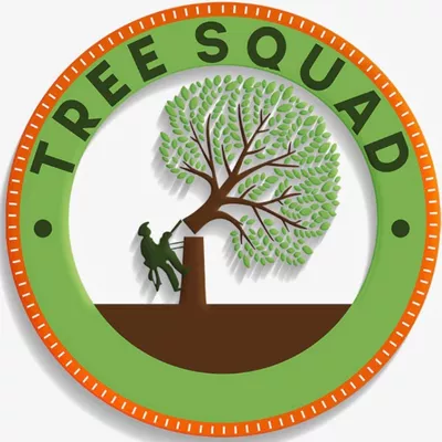Tree Squad Removal LLC