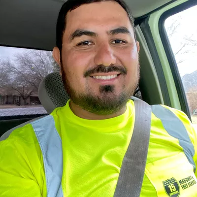 15 brothers tree service