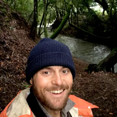 AESTHETIC  TREE  PRUNING
