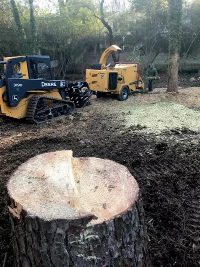 Murueta’s Tree Removal
