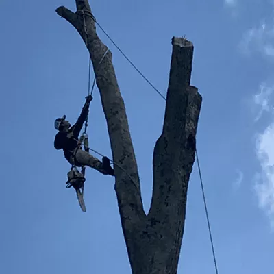 K&C Tree Service