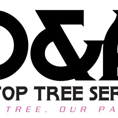 D and A Tip Top Tree Service LLC