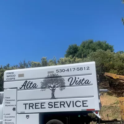 Alta Vista Tree Service