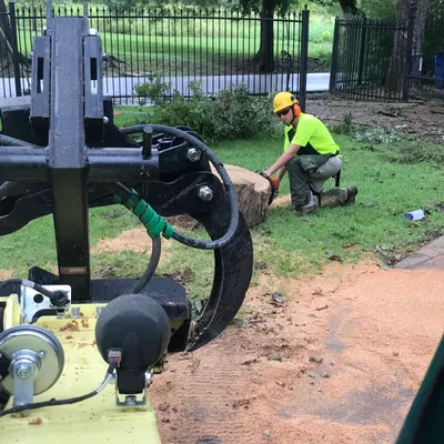 KMS Tree Service