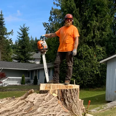 The Lumberjack Man