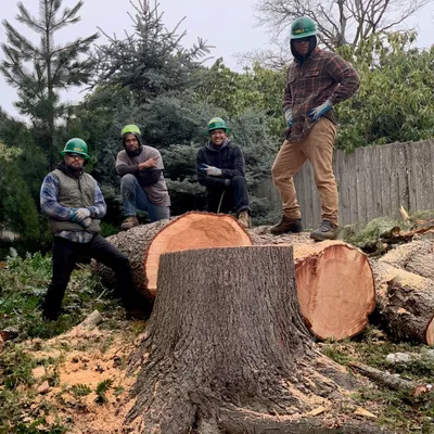 Lesko Tree Service and Landscaping