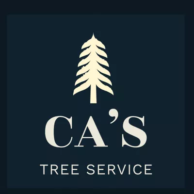 Cas tree services