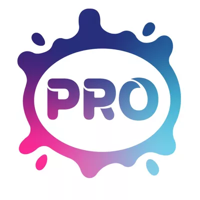 Pro Painters LLC