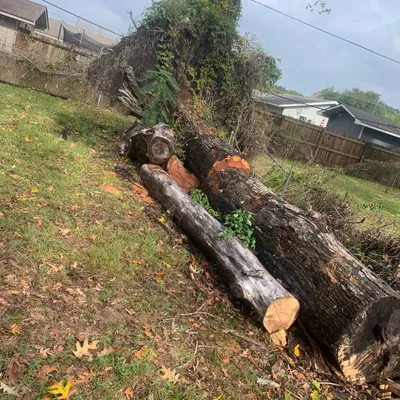 Logans tree cutting service llc