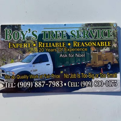 Boy's Tree Service